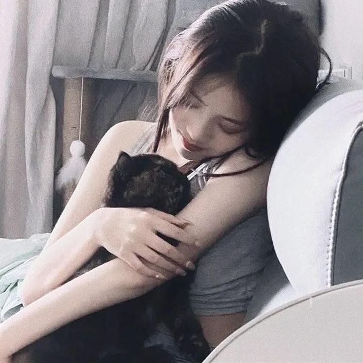 女贼金丝猫