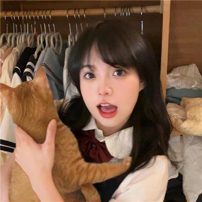 后宫之乌